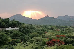 Devarayanadurga Road Viewpoint image