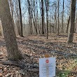 Duke Forest - Couch Mountain