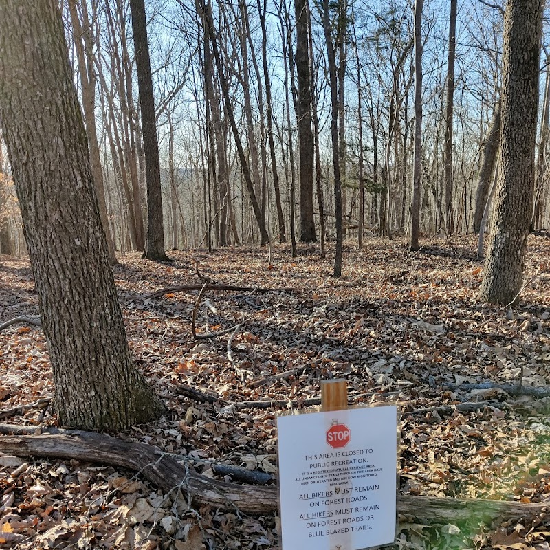 Duke Forest - Couch Mountain