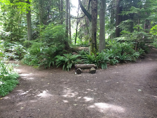 Park «Schmitz Preserve Park», reviews and photos, 5551 SW Admiral Way, Seattle, WA 98116, USA