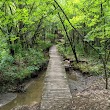 McDonald Woods Forest Preserve