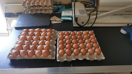 Fresh eggs distribution