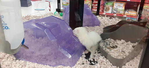 Pet Supply Store «Petco Animal Supplies», reviews and photos, 1209 New Brunswick Ave, Phillipsburg, NJ 08865, USA