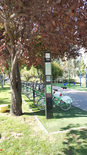 Bici Las Condes 020