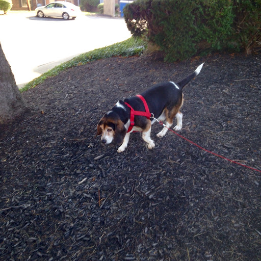 Animal Shelter «HELP the Animals, Inc», reviews and photos, 2101 W Main St, Richmond, IN 47374, USA