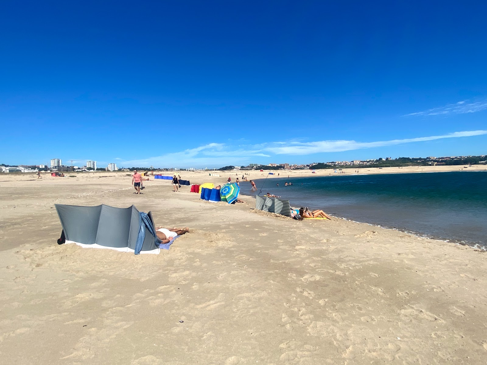 Praia Cabedelo do Douro'in fotoğrafı vahşi alan