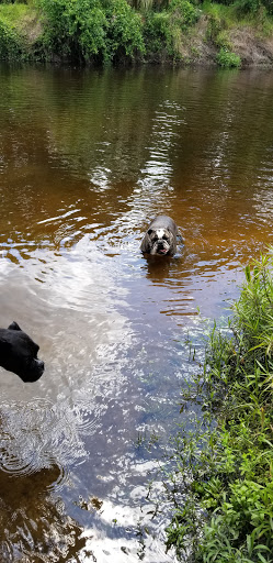 Nature Preserve «Rye Preserve», reviews and photos, 905 Rye Wilderness Trail, Parrish, FL 34219, USA