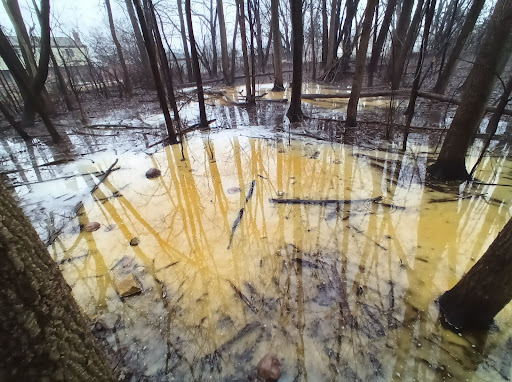 Nature Preserve «Red Oaks Nature Center», reviews and photos, 30300 Hales St, Madison Heights, MI 48071, USA