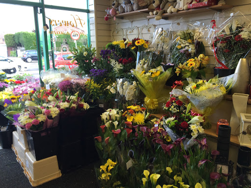 Whiston Cards Gifts & Flowers