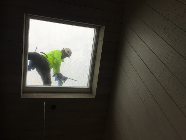 C Through Window & Gutter Cleaning Waiheke - House cleaning service