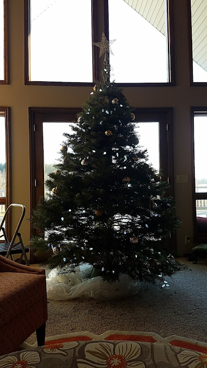 Nordstrom's Christmas Tree Farm