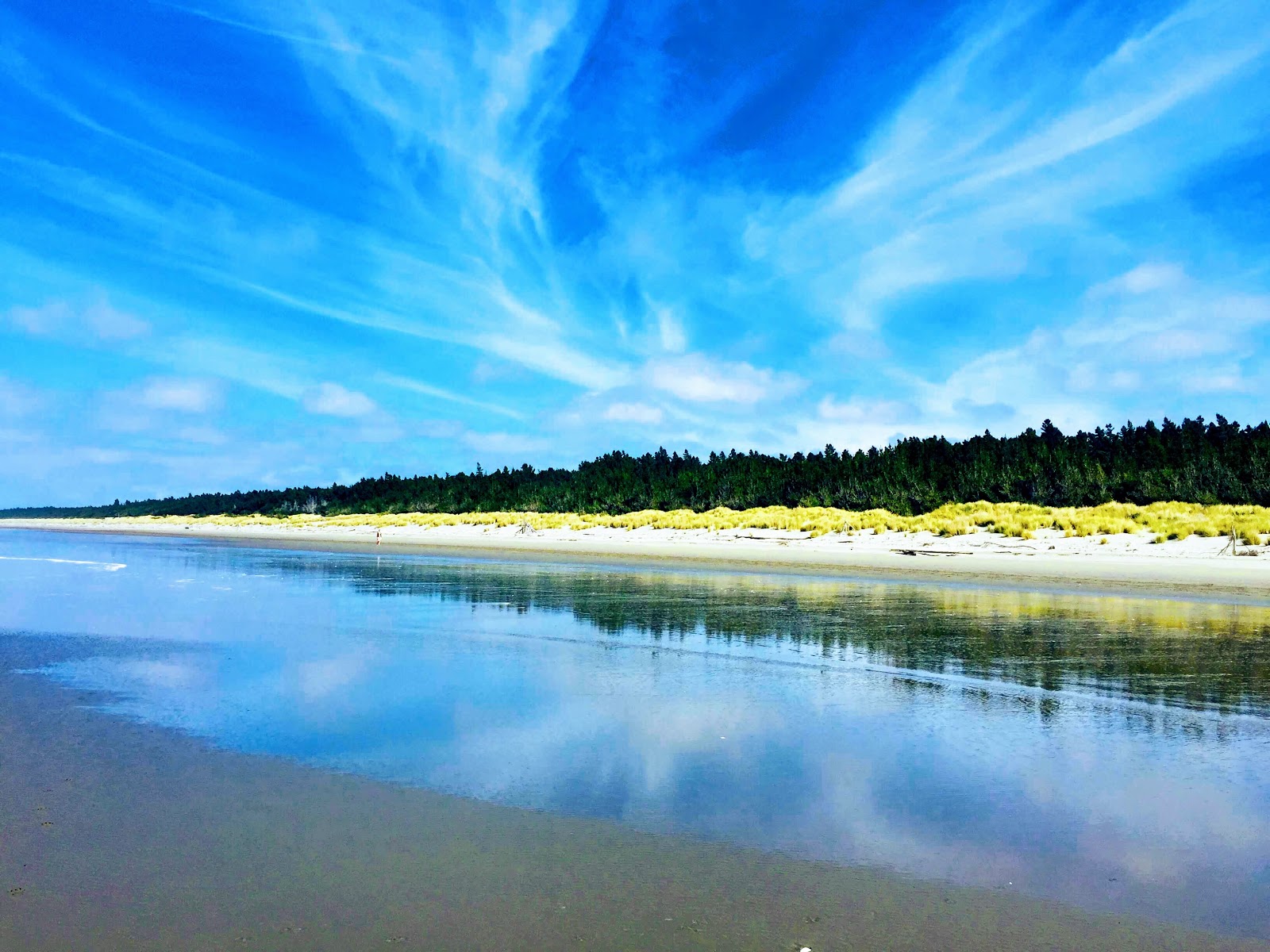 Foto von Woodend Beach annehmlichkeitenbereich