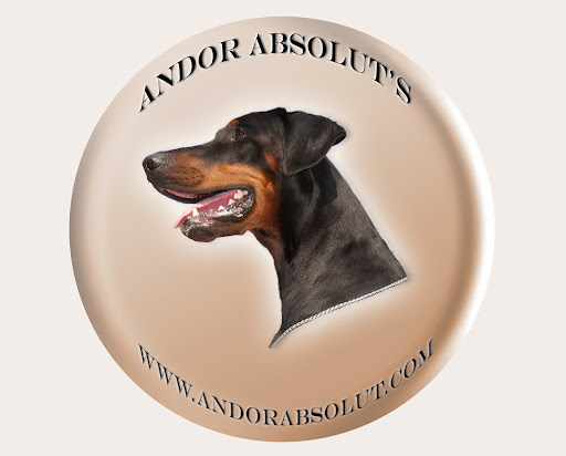 Dobermann kennel Andor Absolut's