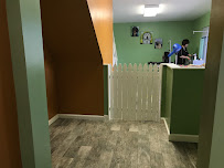 Fluffy Doggy Hotel - Photo 7 - Car repair in San Mateo, CA, San Francisco