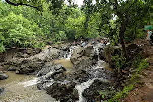 Tungareshwar Wildlife Sanctuary image