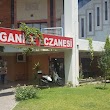 Organize Eczanesi