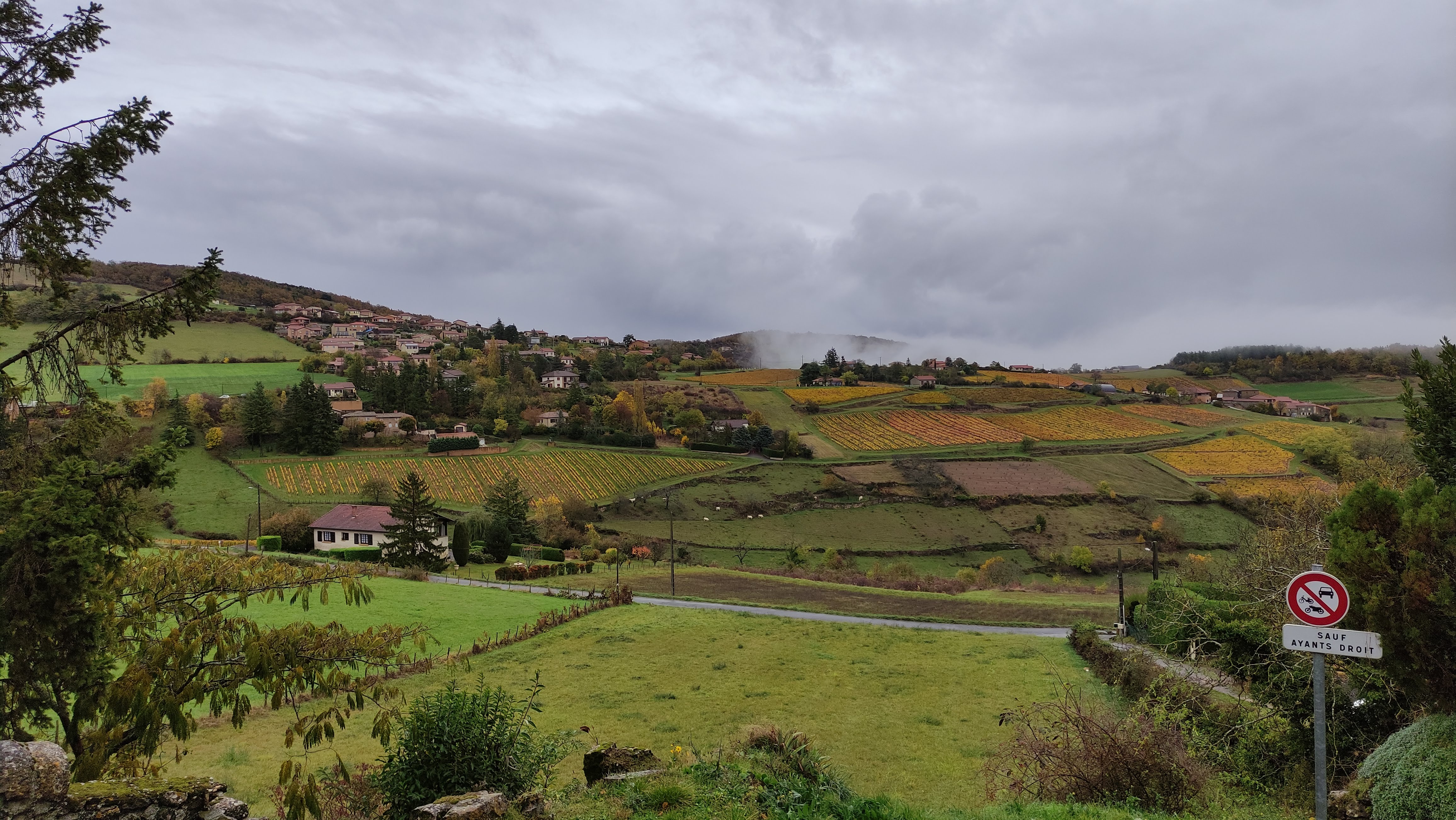 Photo n° 30 de l'avis de Anthony.a fait le 01/11/2021 à 16:22
