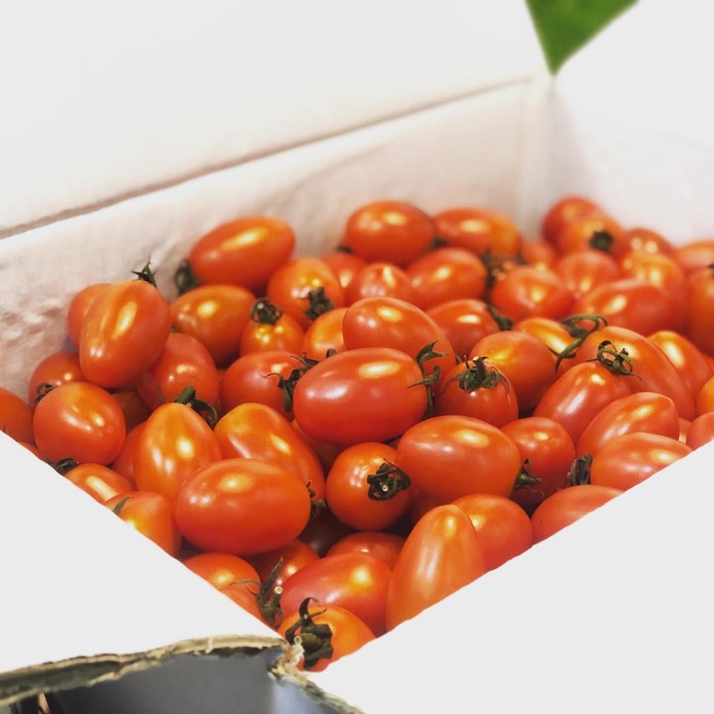 ZEN IN﹒好食 的照片