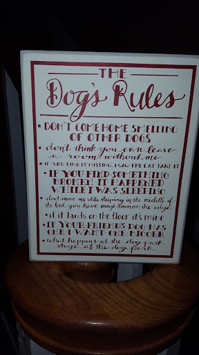 Department Store «Marshalls», reviews and photos, 200 Ridge Pike, Conshohocken, PA 19428, USA