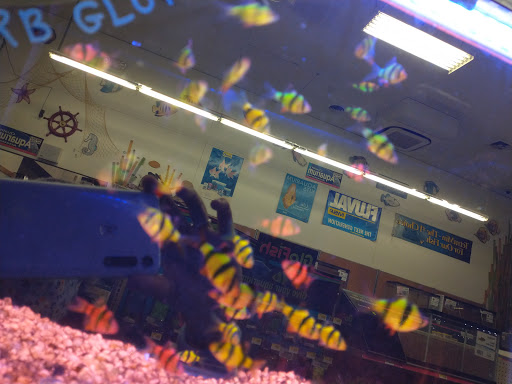 Animal Feed Store «Franklin Hardware & Pet Center», reviews and photos, 1975 Philadelphia Ave, Chambersburg, PA 17201, USA