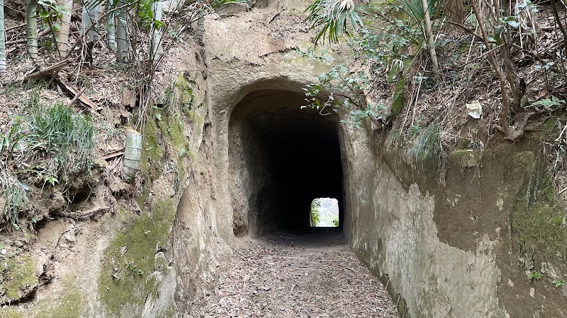 野本隧道