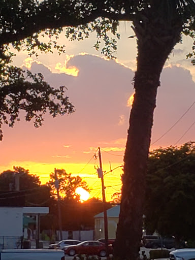 Moving and Storage Service «MOV2DAY - Apple Moving», reviews and photos, 3506 Mercantile Ave, Naples, FL 34104, USA