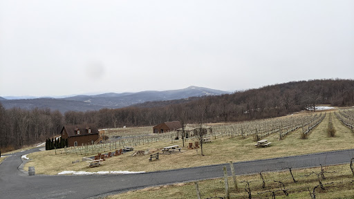 Winery «Fox Meadow Winery LLC», reviews and photos, 3310 Freezeland Rd, Linden, VA 22642, USA