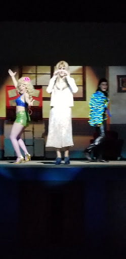 Childrens Theater «Miami Childrens Theater», reviews and photos, 11155 SW 112th Ave, Miami, FL 33176, USA