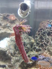 Bob's Fish Services - Photo 7 - Car repair in , Escondido