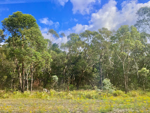 Tallong Outdoor Education & Retreat Centre