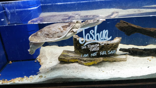 Pet Store «Zoo Creatures Pet Store», reviews and photos, 149 Plaistow Rd, Plaistow, NH 03865, USA