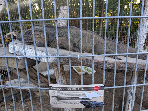 Pet Store «Zoo Creatures Pet Store», reviews and photos, 149 Plaistow Rd, Plaistow, NH 03865, USA