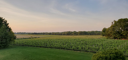 Event Venue «The Vineyards at Aquebogue», reviews and photos, 978 NY-25, Riverhead, NY 11901, USA