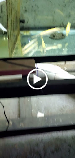 Pet Supply Store «Monster Aquarium Inc.», reviews and photos, 131-08 40 Rd, Flushing, NY 11354, USA