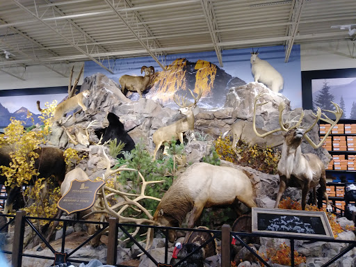 Outdoor Sports Store «Field & Stream», reviews and photos, 870 Walt Whitman Rd Ste B, Melville, NY 11747, USA