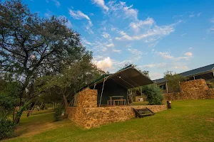 Bush Willow Tented Camp image
