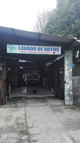 Opiniones de Harolcar en Puerto Montt - Servicio de lavado de coches