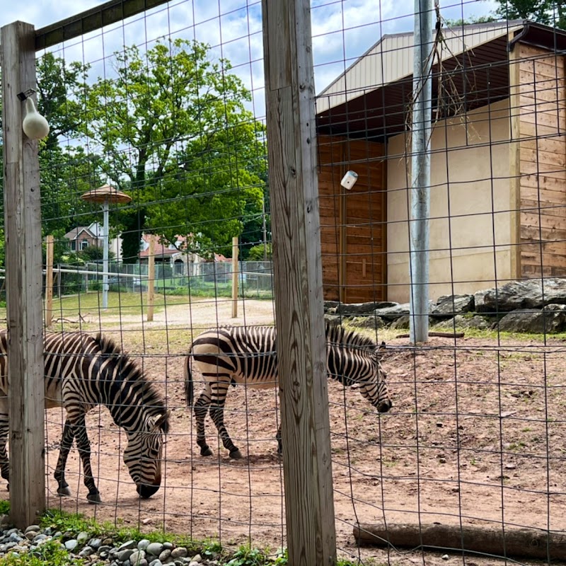 Elmwood Park Zoo