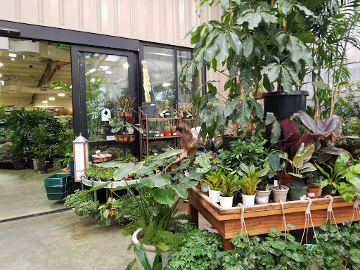 Plant shops in Sacramento