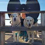 Photo n°21 de l'avis de Walter.o fait le 16/12/2017 à 11:33 sur le  InAlto Alfio Ghezzi Dolomites à Moena