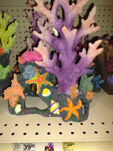 Pet Supply Store «PetSmart», reviews and photos, 3450 N Morrison Rd, Muncie, IN 47304, USA