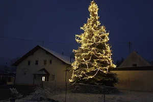 Schützenverein "Frohsinn" Konzenberg image