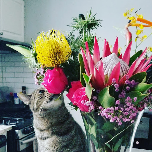 Florist «A Pretty Flower by A & A Floral Arts», reviews and photos, 2334 W Lawrence Ave #100, Chicago, IL 60625, USA