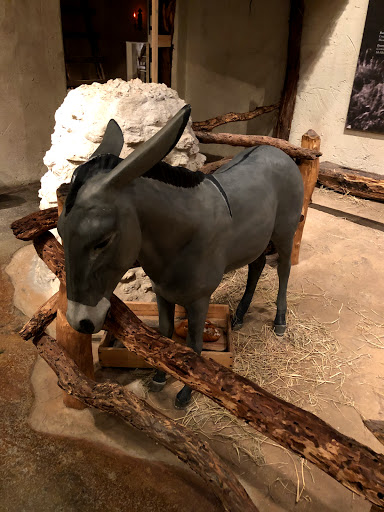 History Museum «Museum of South Texas History», reviews and photos, 200 N Closner Blvd, Edinburg, TX 78541, USA