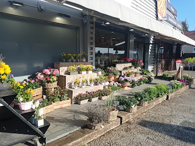 Les fleuristes Lazzaro à Colombelles