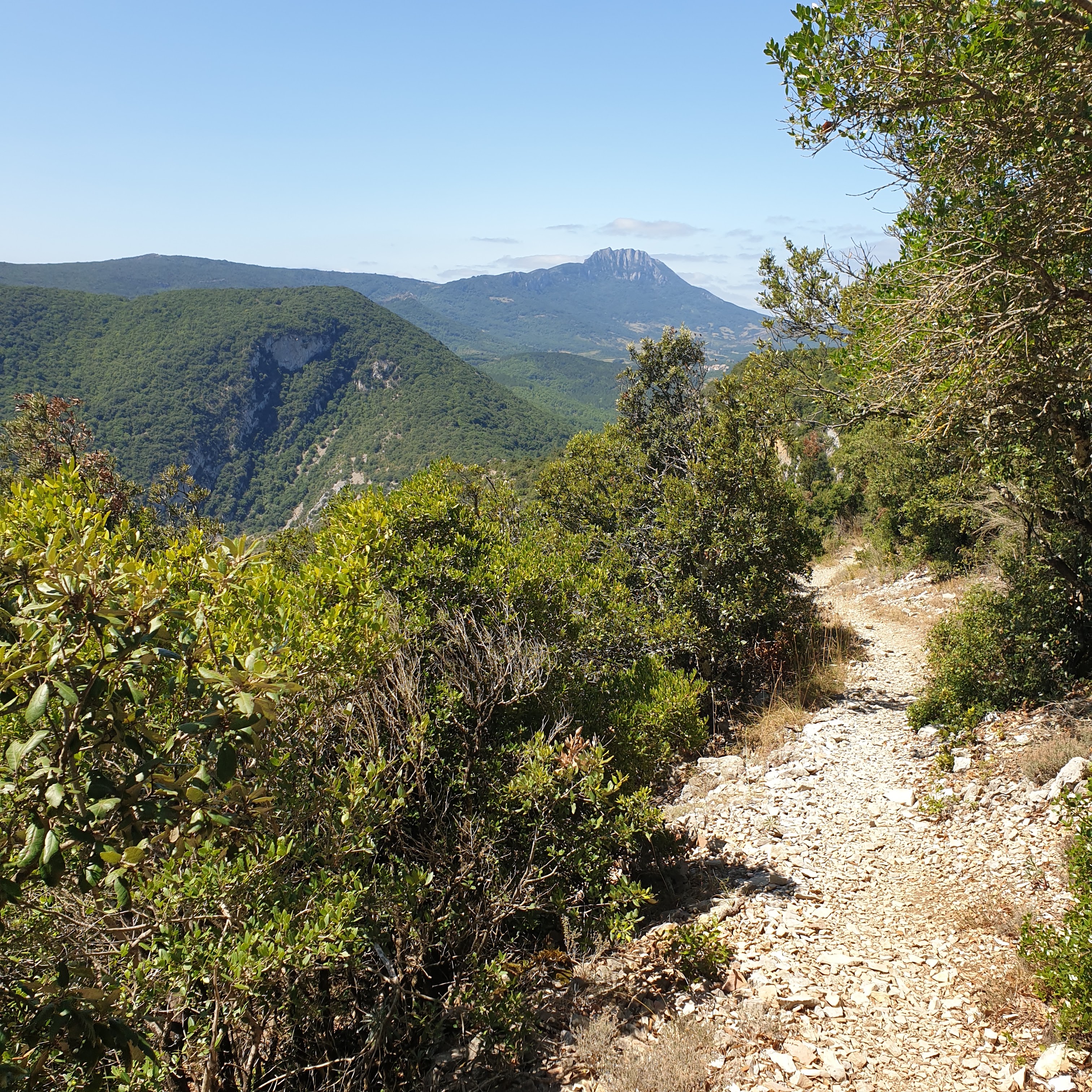 Photo n° 5 de l'avis de Gael.a fait le 19/08/2021 à 10:15