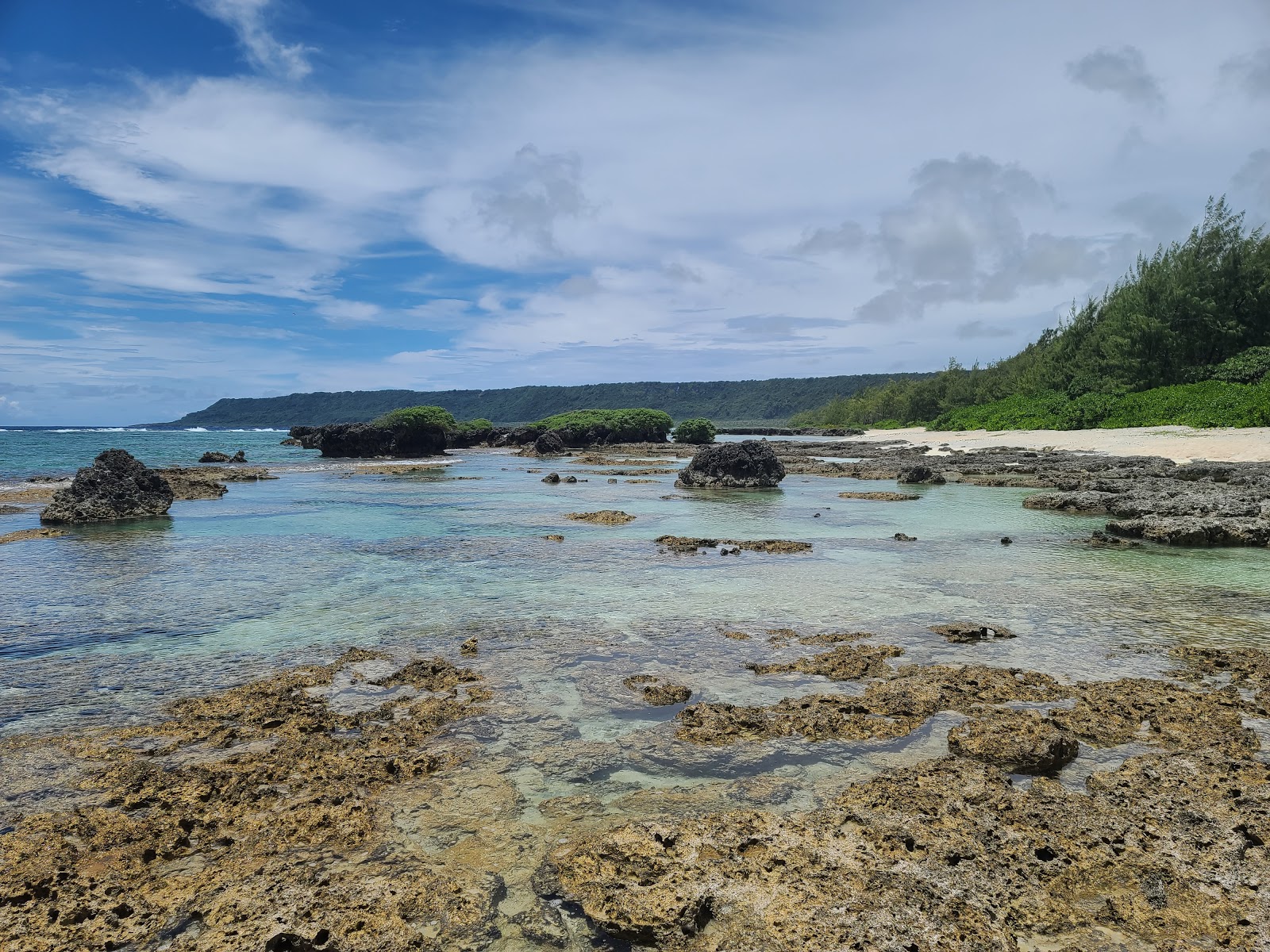 Foto af Tarague Beach bakket op af klipperne