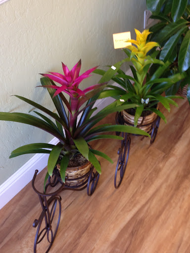 Florist «Razanne Flowers», reviews and photos, 8994 Elk Grove Blvd, Elk Grove, CA 95624, USA