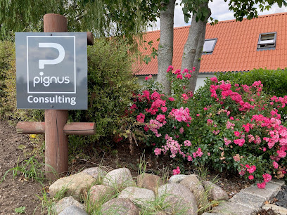 Pignus Pro Consulting