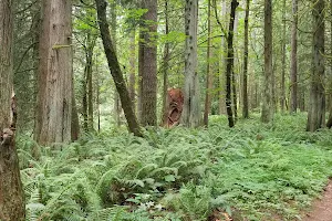 Salmon-Morgan Creeks Natural Area image